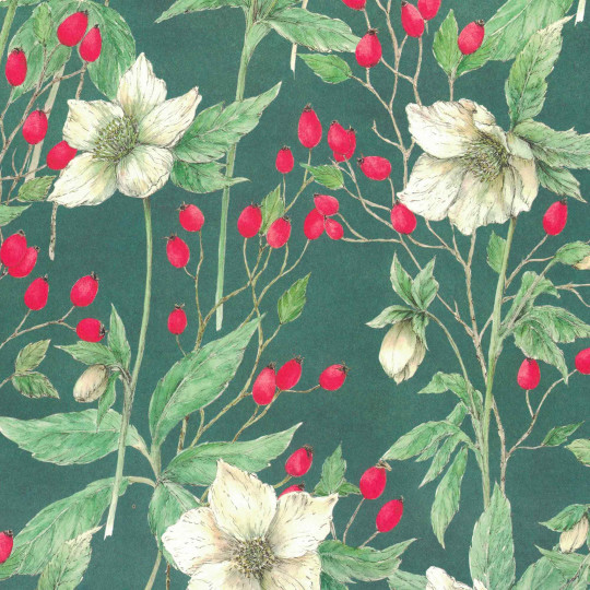 Christmas Roses and Hips  Italian Print Paper ~ Tassotti Italy